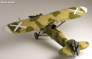 PWS-10 